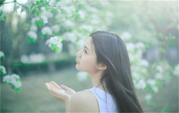 雷波验血查男女几周可以验(验血查男女结果图)